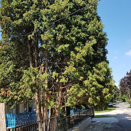 Vila Jo-Jo'S Nyaralohaz Siófok Exteriér fotografie