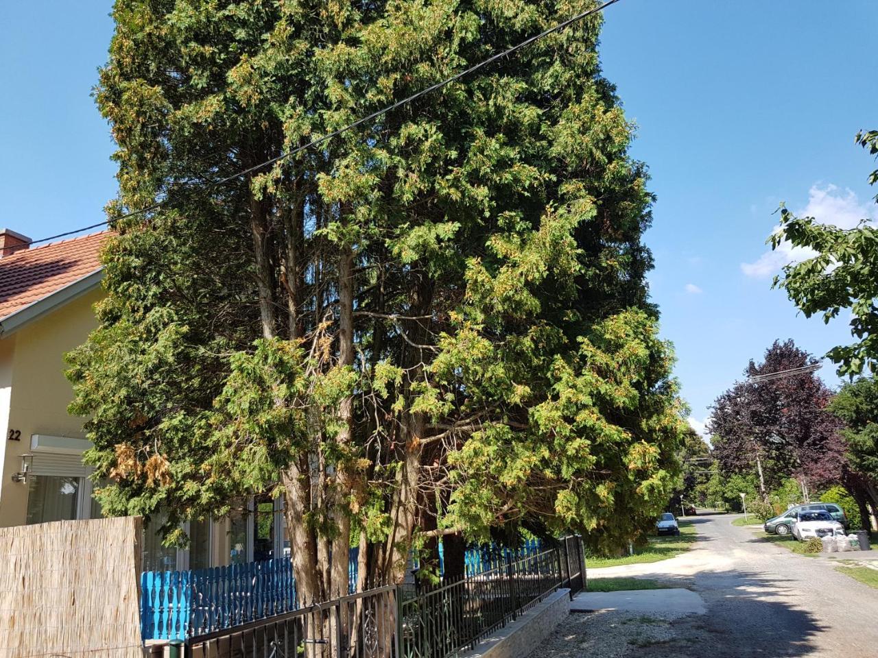 Vila Jo-Jo'S Nyaralohaz Siófok Exteriér fotografie